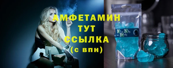 тгк Инсар