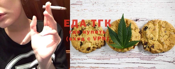индика Инта