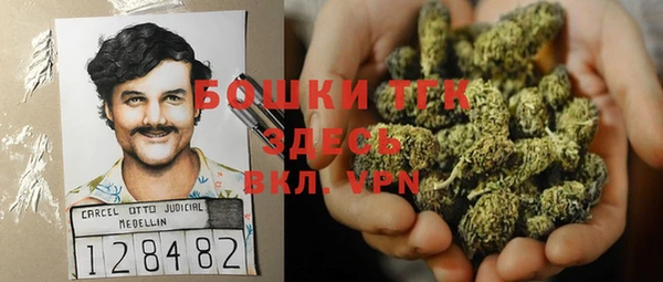 метадон Алексин